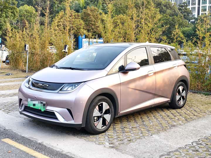 Фото 1 - BYD Dolphin