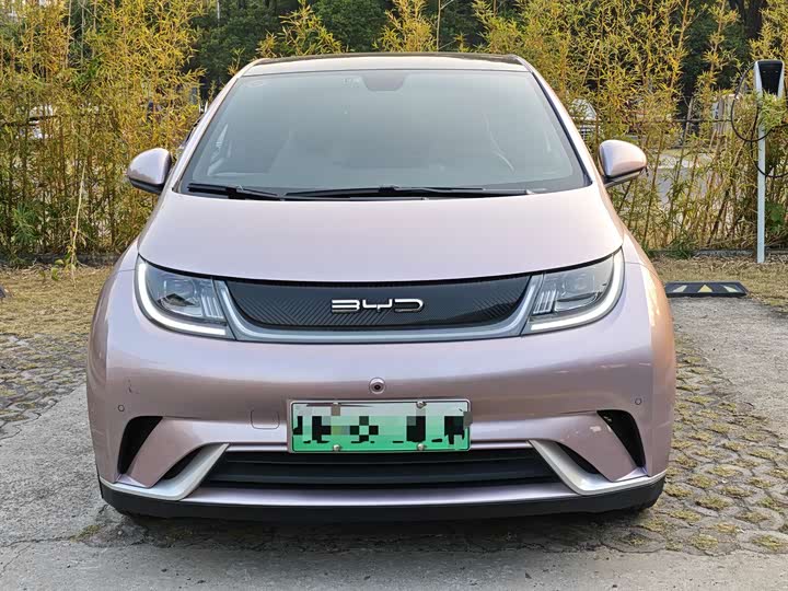 Фото 2 - BYD Dolphin