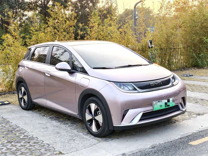 Фото 3 - BYD Dolphin