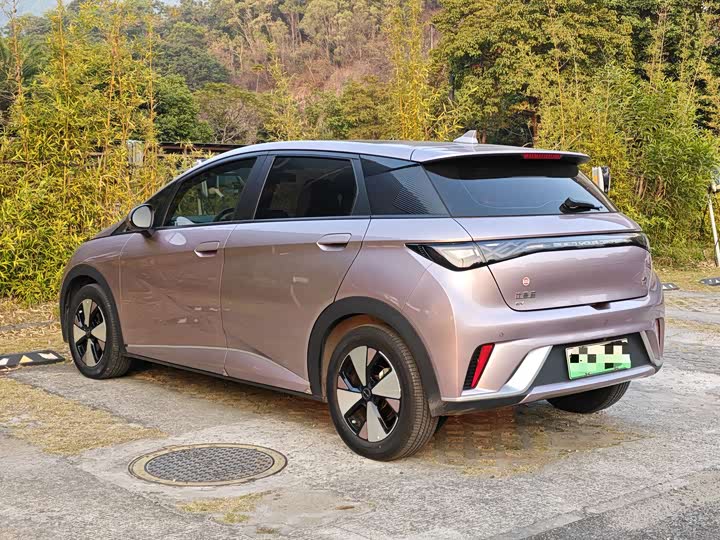 Фото 4 - BYD Dolphin