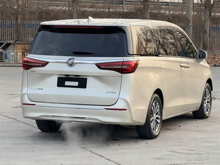 Фото 4 - Buick GL8 ES