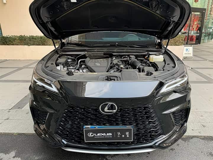 Фото 6 - Lexus RX