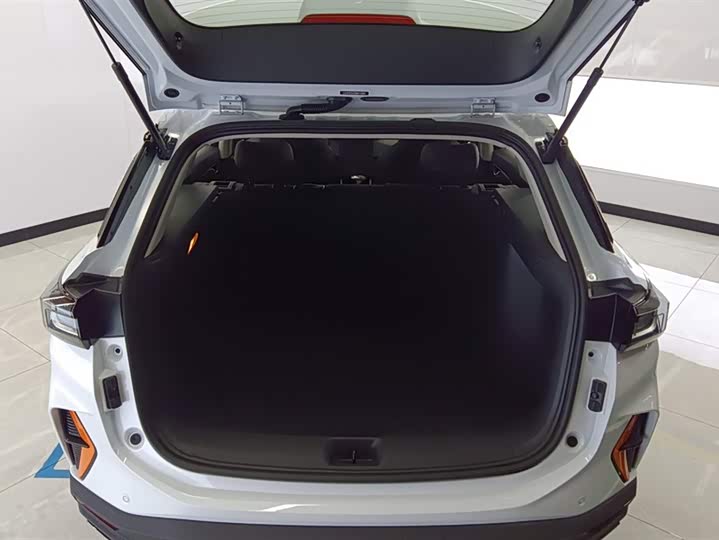 Фото 4 - Dongfeng Aeolus Yixuan GS