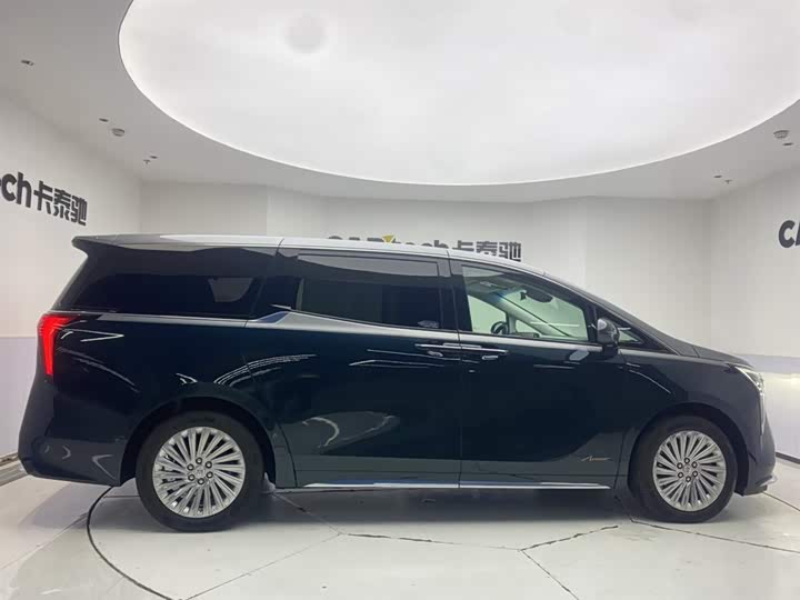 Фото 4 - Buick GL8 Century