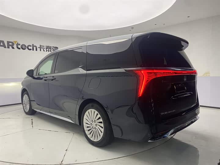 Фото 7 - Buick GL8 Century