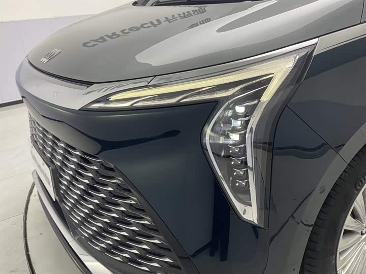 Фото 9 - Buick GL8 Century