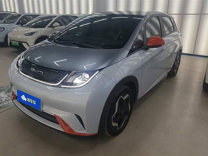 Фото 1 - BYD Dolphin