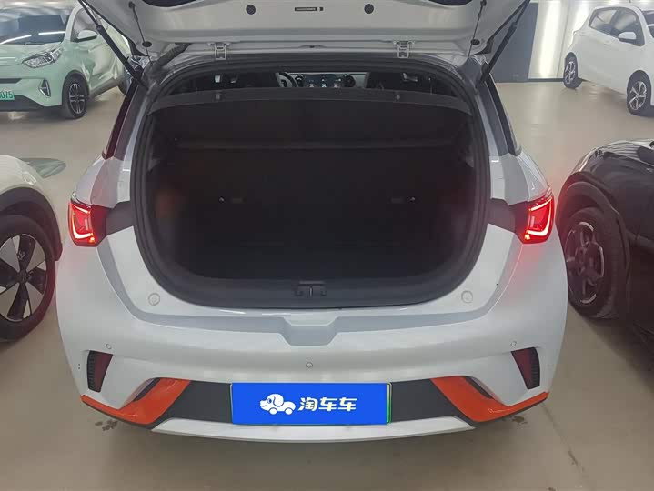 Фото 4 - BYD Dolphin