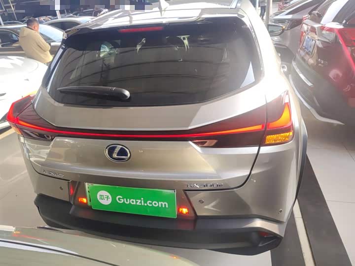 Фото 6 - Lexus UX Hybrid