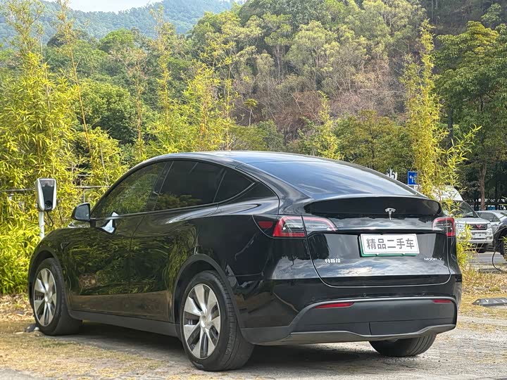 Фото 4 - Tesla Model Y