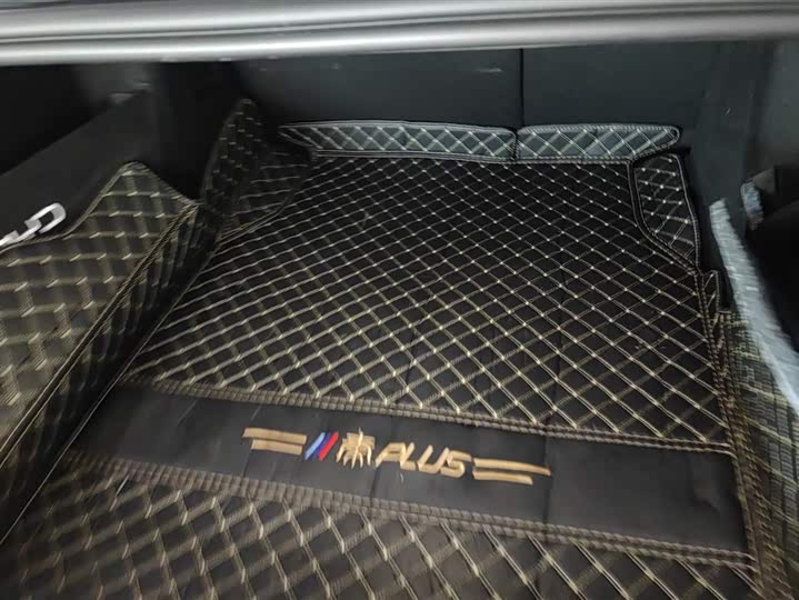 Фото 4 - BYD Qin Plus