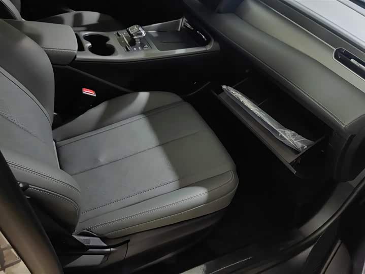 Фото 8 - BYD Qin Plus