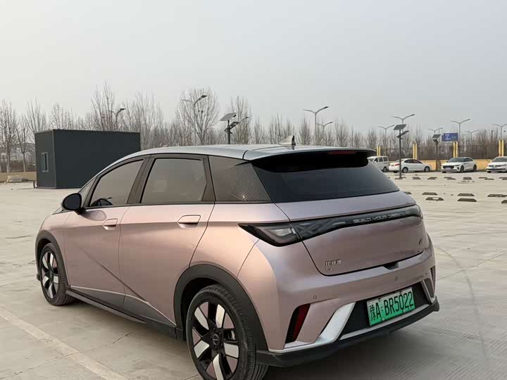 Фото 3 - BYD Dolphin