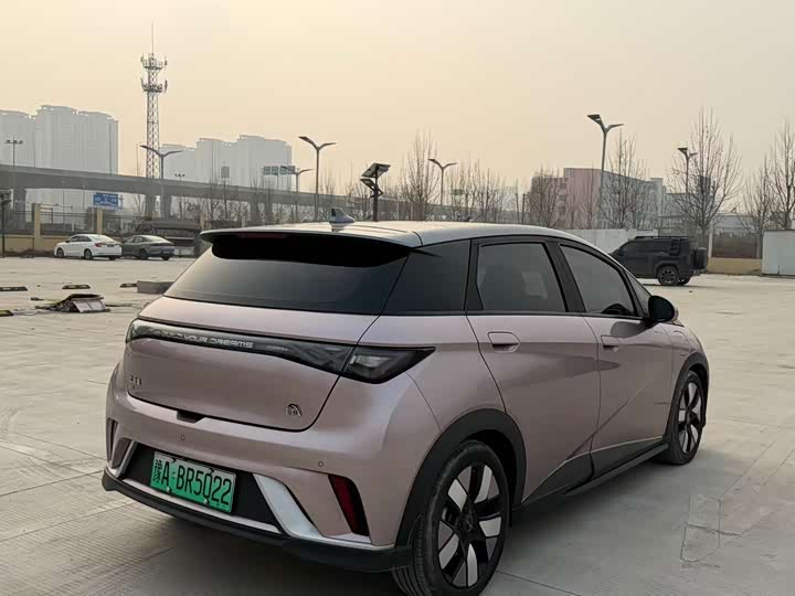 Фото 4 - BYD Dolphin