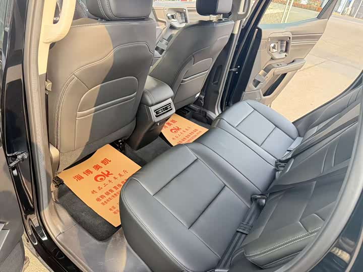 Фото 4 - Haval H-Dog Hybrid