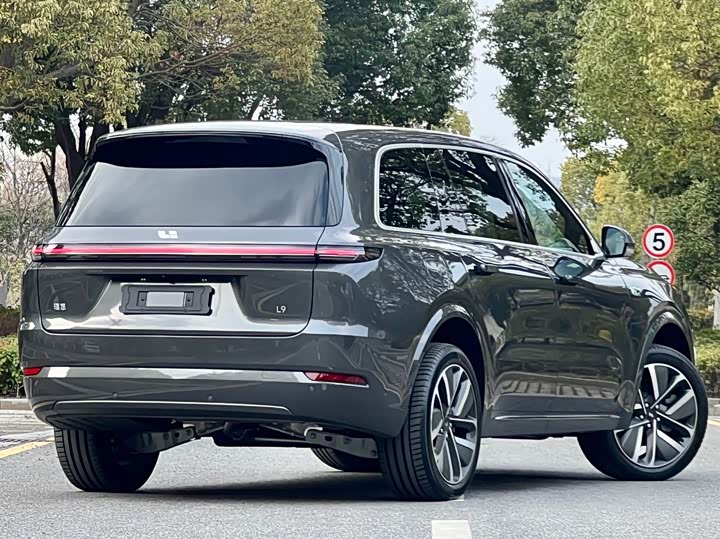 Фото 3 - LiXiang L9