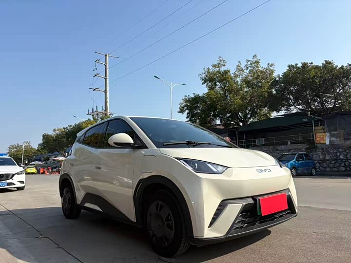 Фото 1 - BYD Seagull