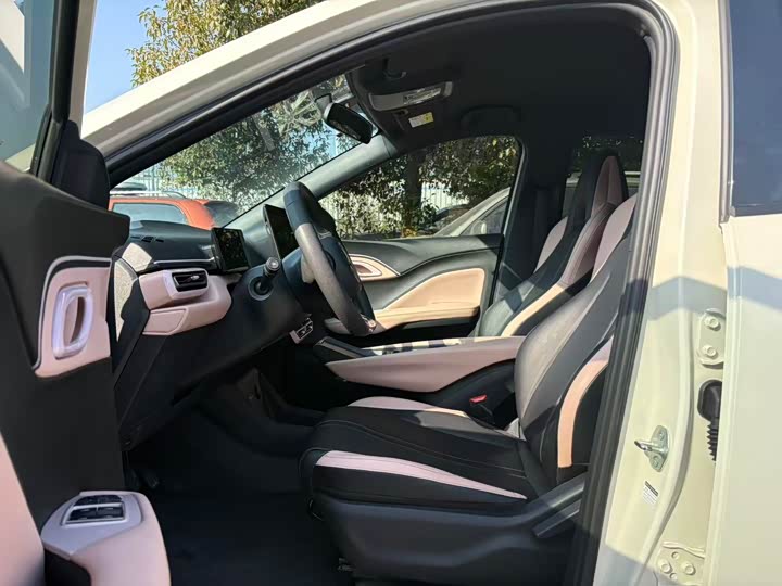 Фото 4 - BYD Seagull