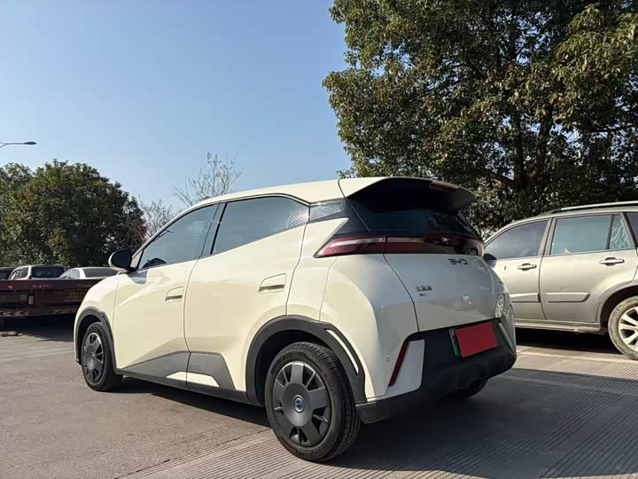 Фото 7 - BYD Seagull