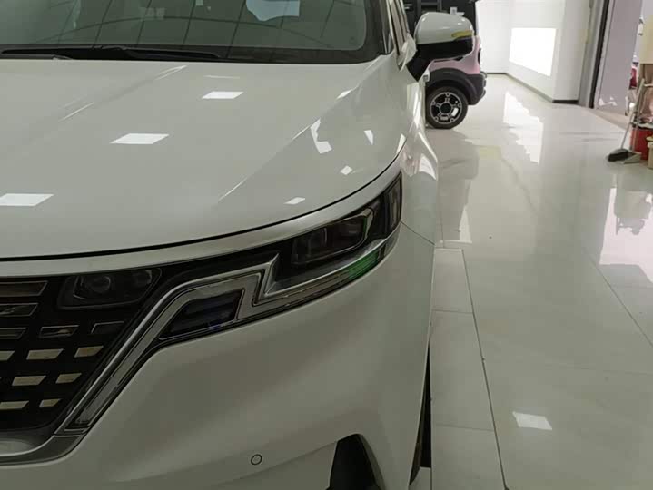 Фото 5 - Kia Carnival