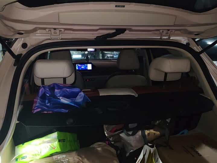 Фото 4 - Ora Good Cat (03)