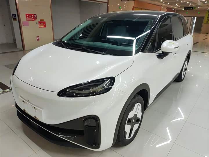 Фото 2 - BAIC Arcfox Kaola