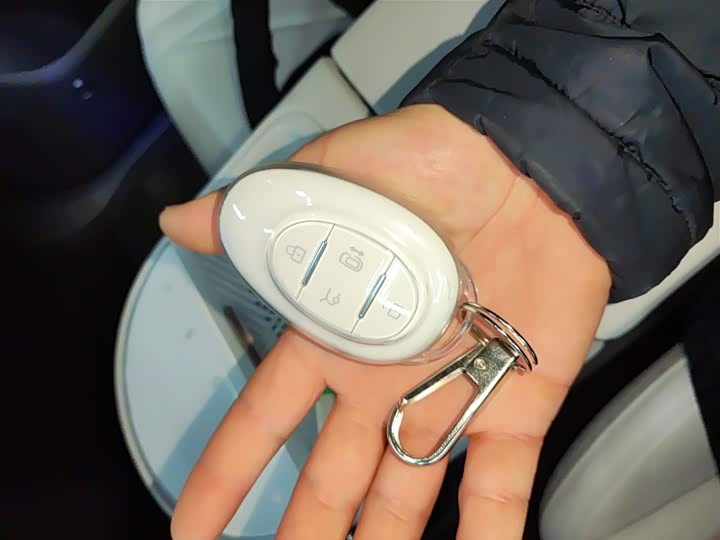 Фото 9 - BAIC Arcfox Kaola