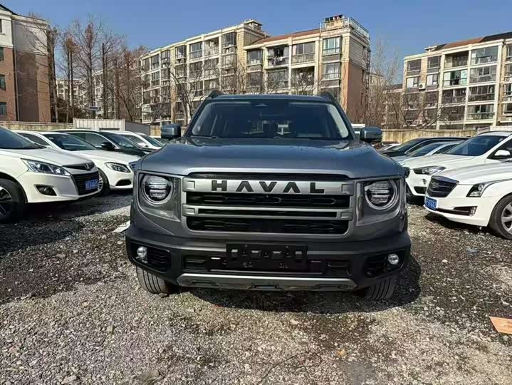 Фото 2 - Haval Dargo