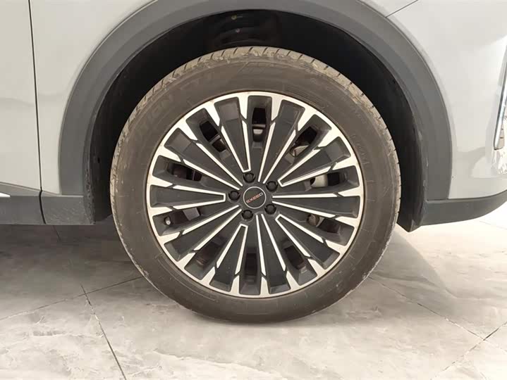 Фото 6 - Exeed RX C-DM Hybrid