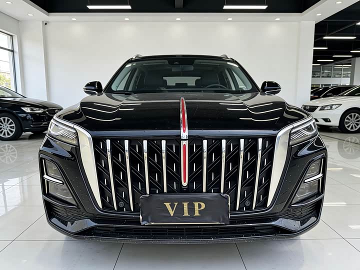 Фото 1 - Hongqi HS5