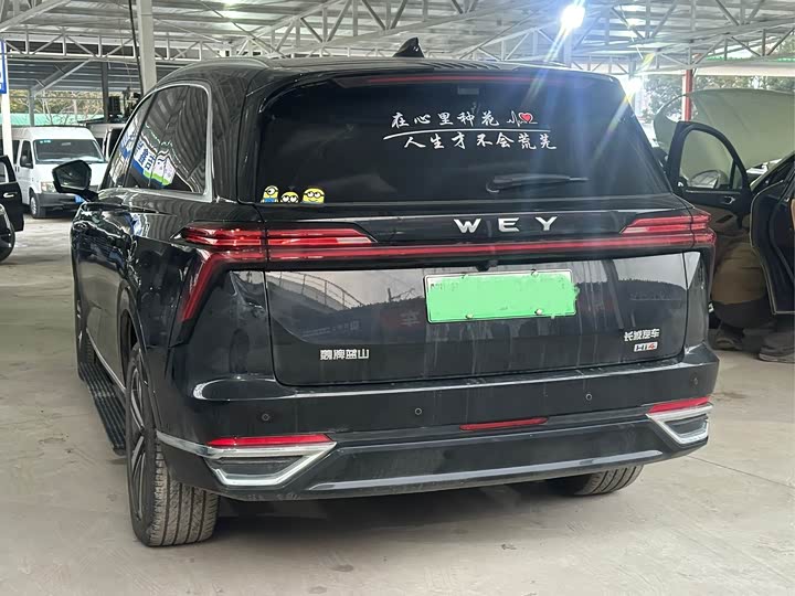 Фото 4 - Wey Lanshan