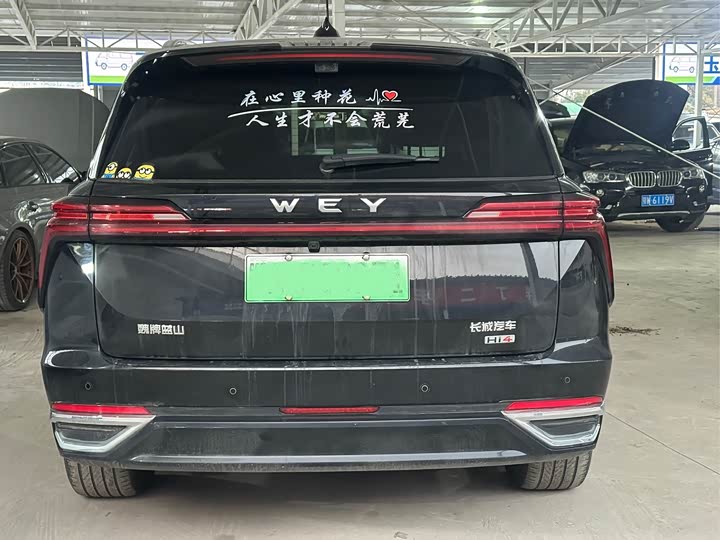 Фото 5 - Wey Lanshan