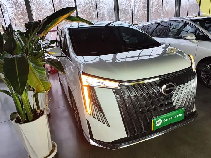 Фото 4 - GAC Trumpchi M8