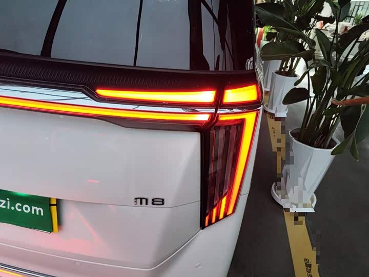 Фото 8 - GAC Trumpchi M8