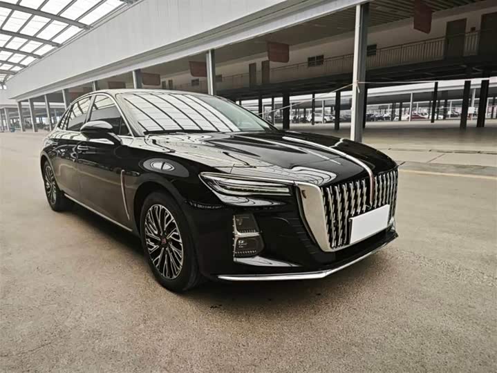Фото 5 - Hongqi H5