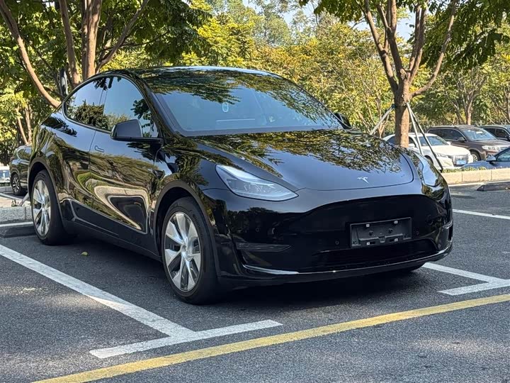 Фото 3 - Tesla Model Y