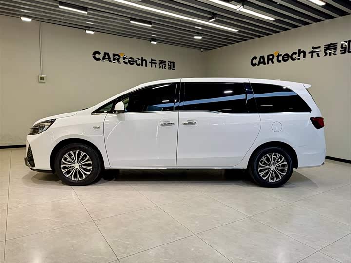 Фото 6 - Buick GL8 ES