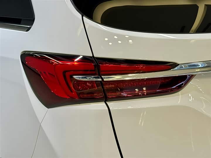 Фото 8 - Buick GL8 ES