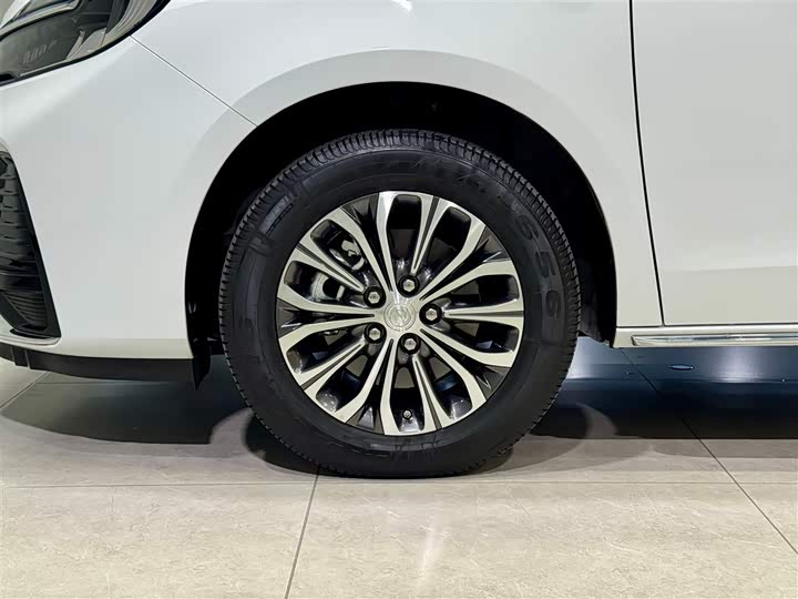 Фото 9 - Buick GL8 ES