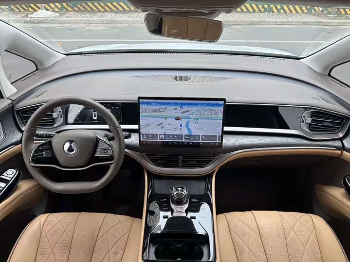 Фото 6 - Denza D9