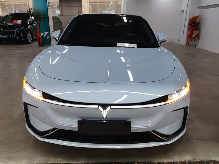 Фото 3 - Voyah Passion