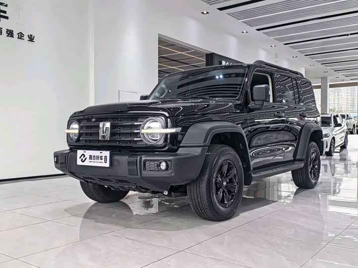 Фото 1 - Tank 300