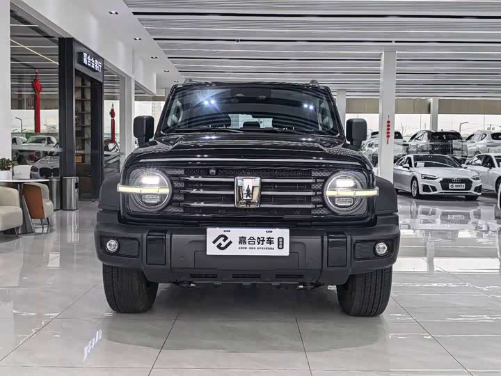 Фото 2 - Tank 300