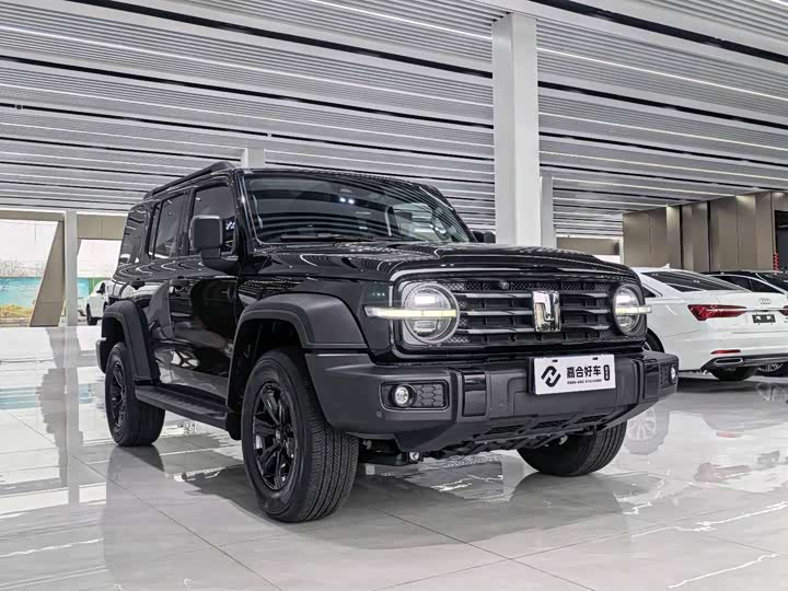 Фото 3 - Tank 300