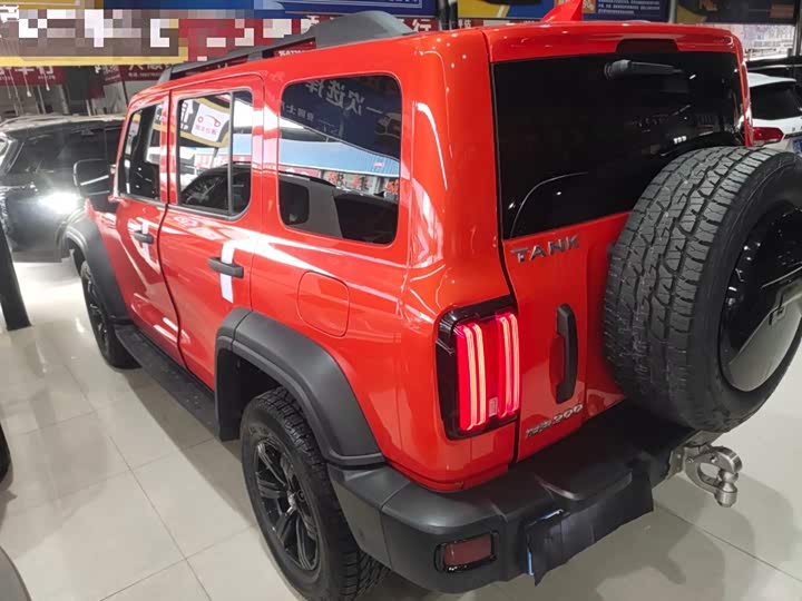 Фото 5 - Tank 300