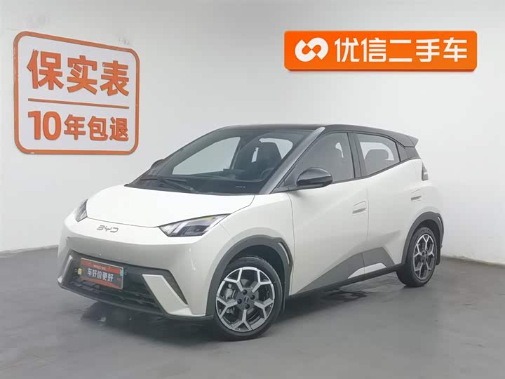 Фото 1 - BYD Seagull