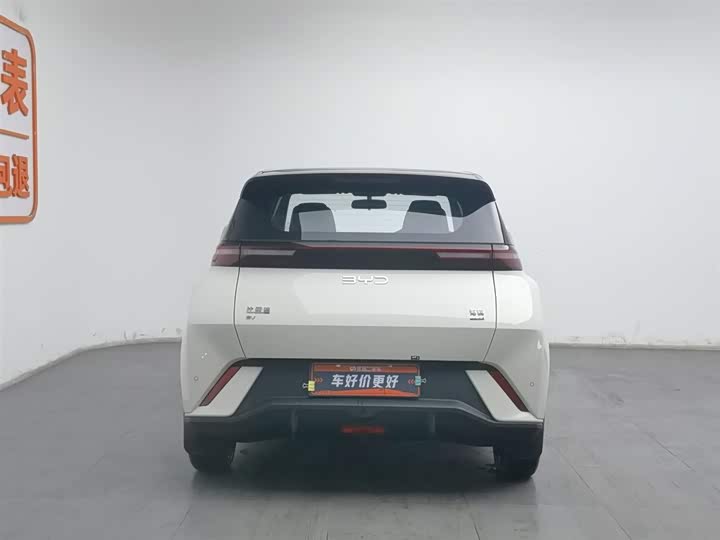 Фото 4 - BYD Seagull