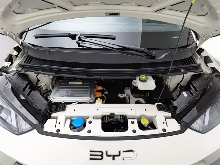 Фото 6 - BYD Seagull