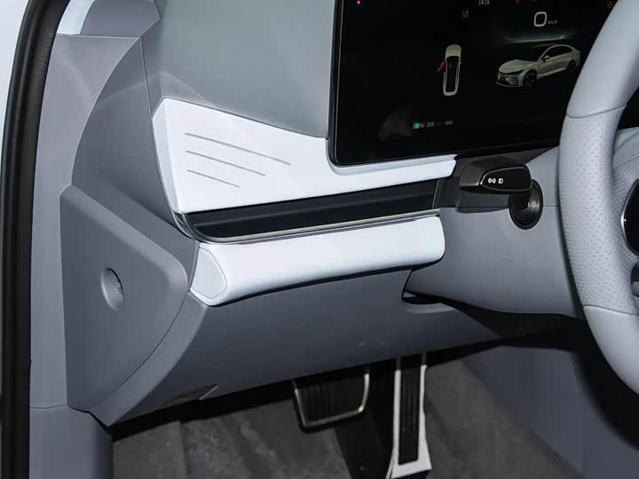 Фото 9 - Voyah Passion