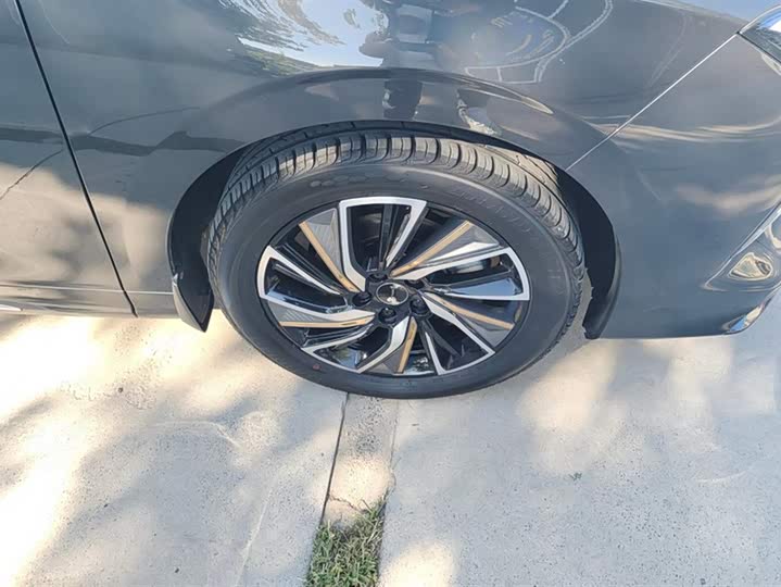 Фото 6 - Dongfeng Forthing Yacht